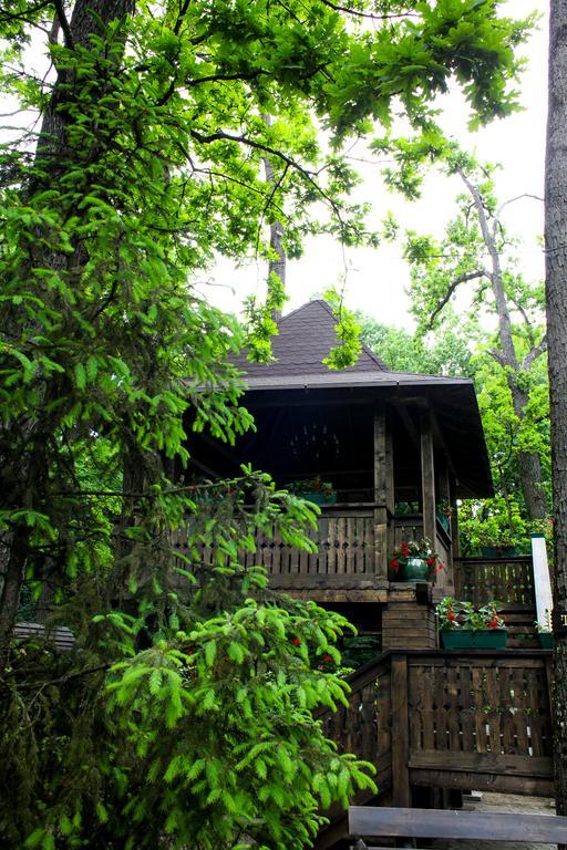 Cornul Vanatorului Bungalows 피테슈티 외부 사진