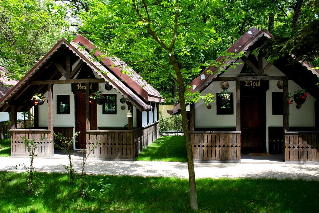 Cornul Vanatorului Bungalows 피테슈티 외부 사진