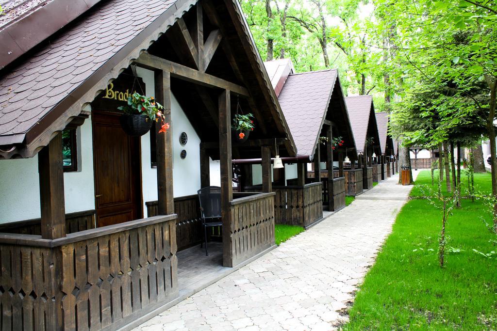 Cornul Vanatorului Bungalows 피테슈티 외부 사진