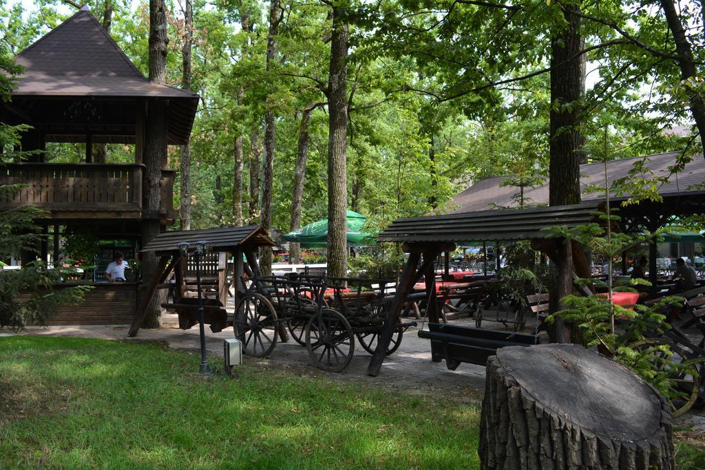 Cornul Vanatorului Bungalows 피테슈티 외부 사진