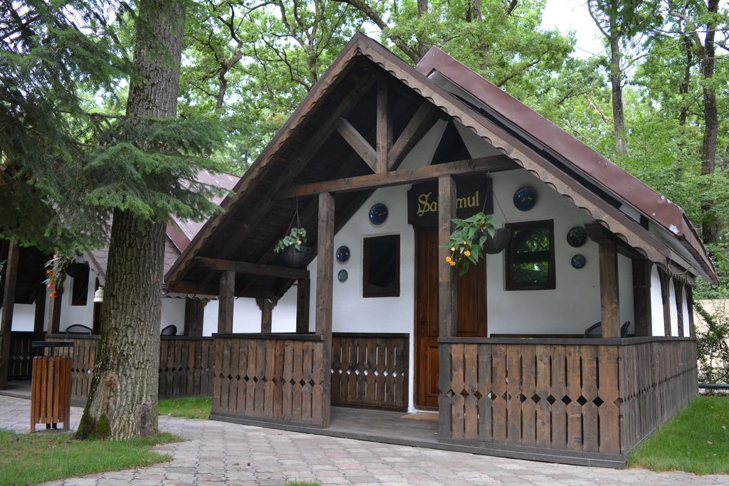 Cornul Vanatorului Bungalows 피테슈티 외부 사진