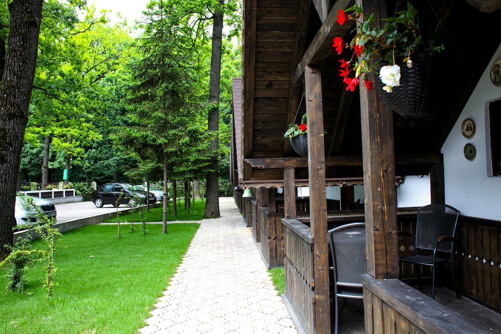 Cornul Vanatorului Bungalows 피테슈티 외부 사진