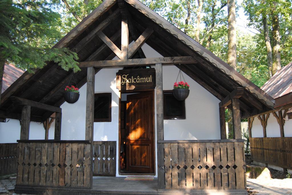 Cornul Vanatorului Bungalows 피테슈티 객실 사진